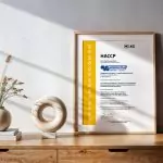 HACCP Zertifikat, ausgestellt an Brüggemann Spedition + Logistik GmbH & Co. KG, in einem Bilderrahmen. Stehend auf einem Sideboard. Daneben Dekoration